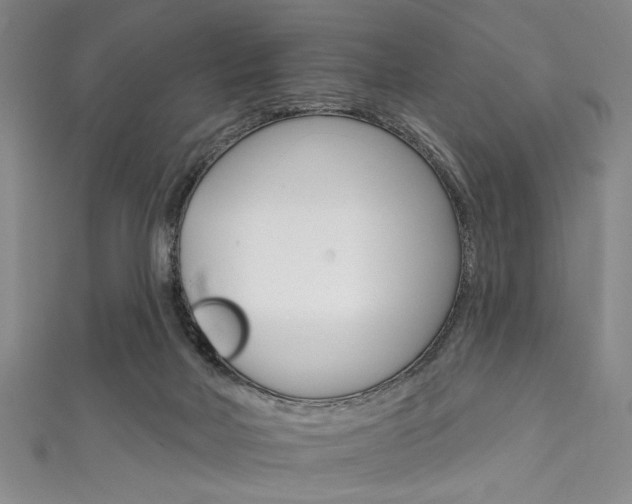 X0000111830026200907231031