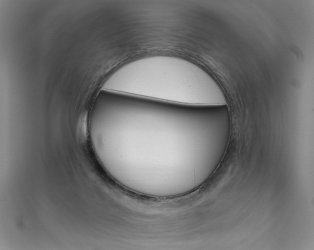X0000111830028200907231031