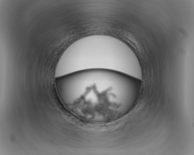 X0000111830029200907231031