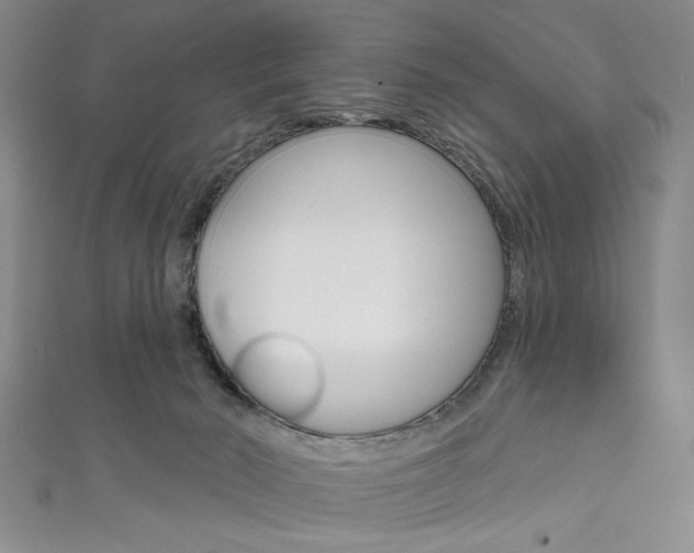 X0000111830030200907231031