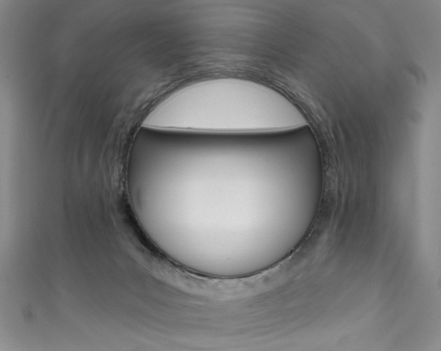 X0000111830031200907231031