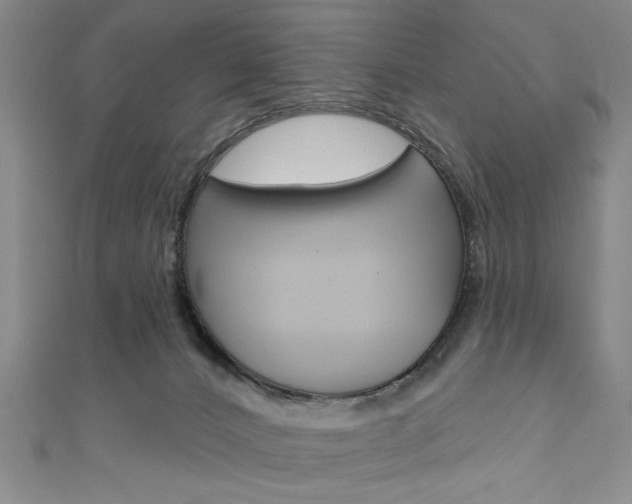 X0000111830032200907231031