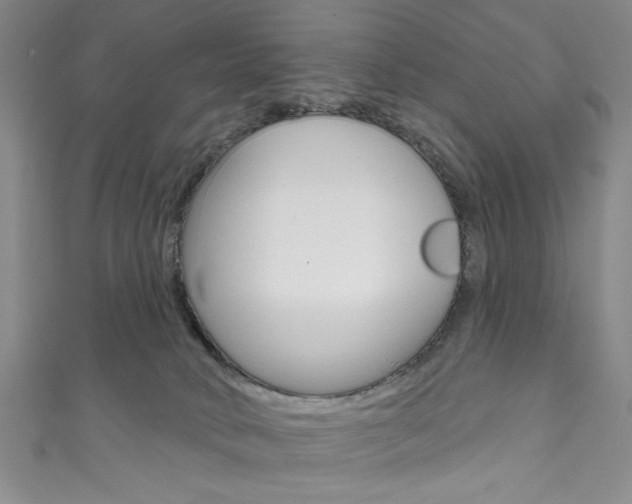 X0000111830034200907231031
