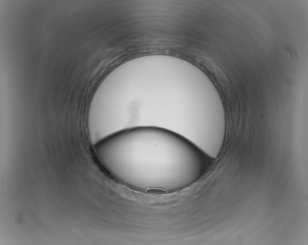X0000111830035200907231031