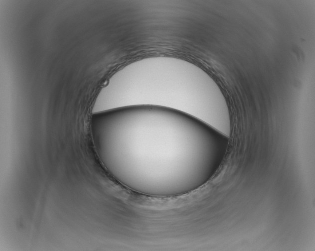 X0000111830037200907231031