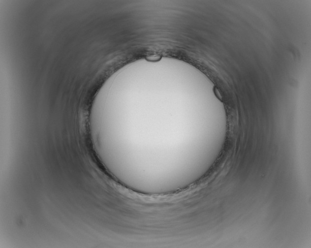 X0000111830038200907231031