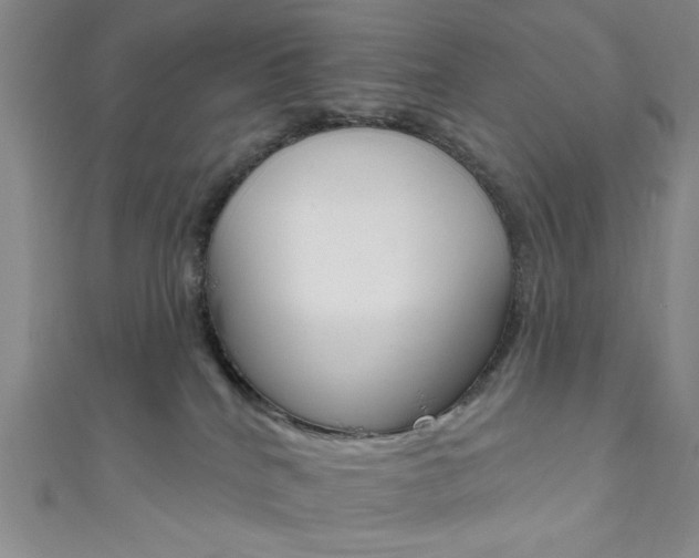 X0000111830040200907231031