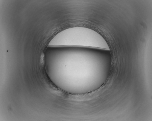 X0000111830041200907231031