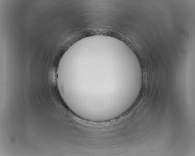 X0000111830042200907231031