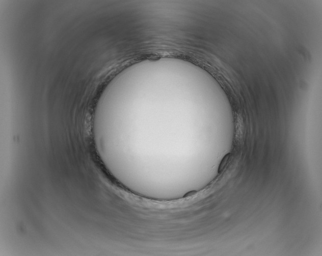 X0000111830043200907231031
