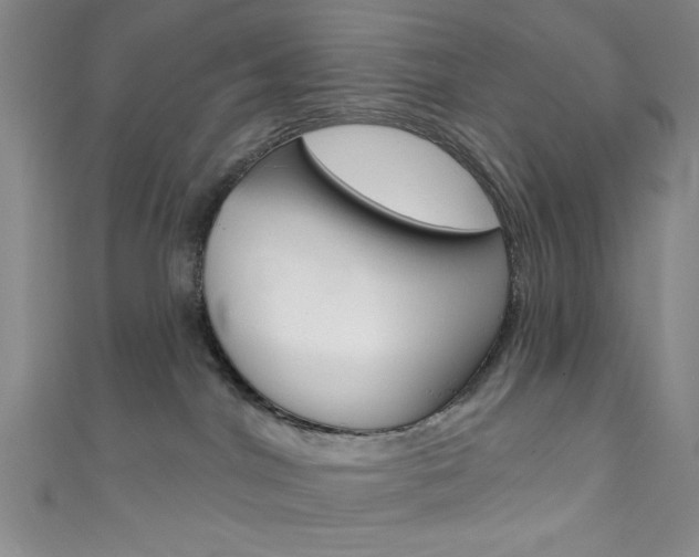 X0000111830044200907231031