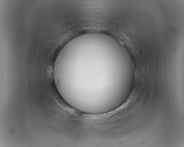 X0000111830045200907231031