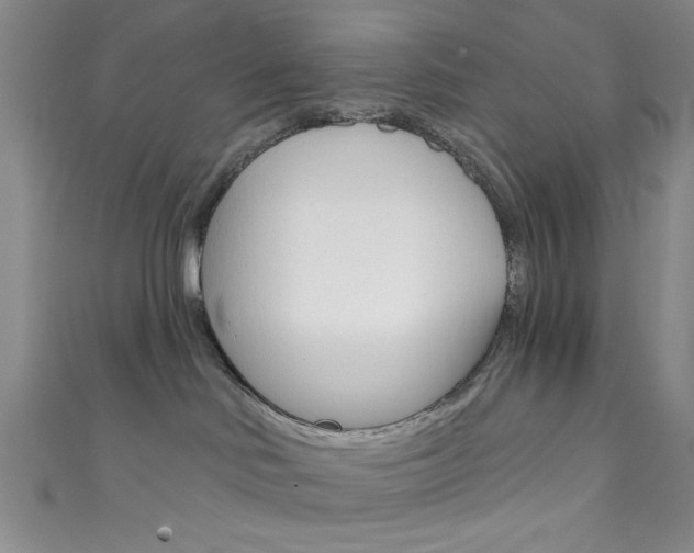 X0000111830046200907231031