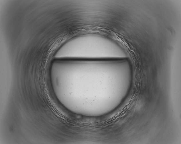 X0000111830049200907231030