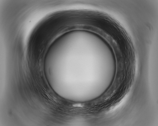 X0000111830050200907231030