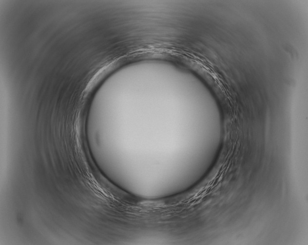 X0000111830051200907231030
