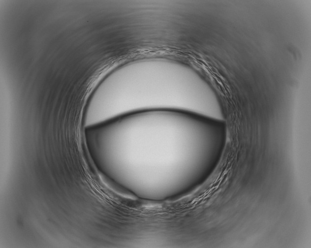 X0000111830052200907231030
