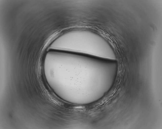 X0000111830053200907231030