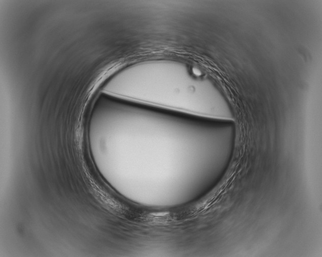 X0000111830054200907231030