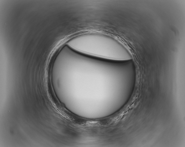 X0000111830055200907231030