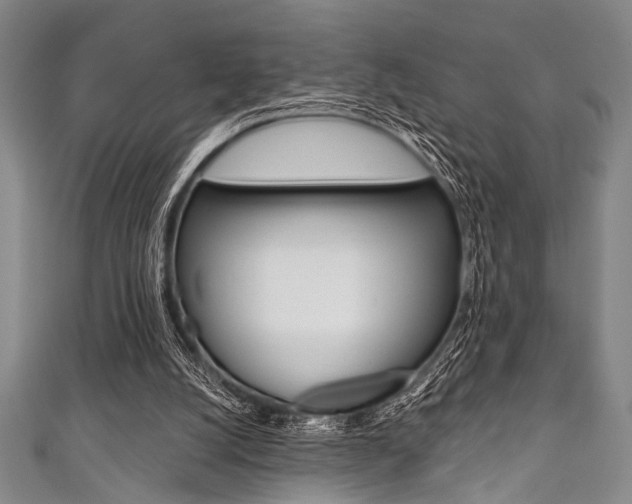 X0000111830056200907231031