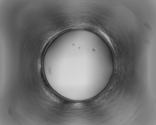 X0000111830059200907231031