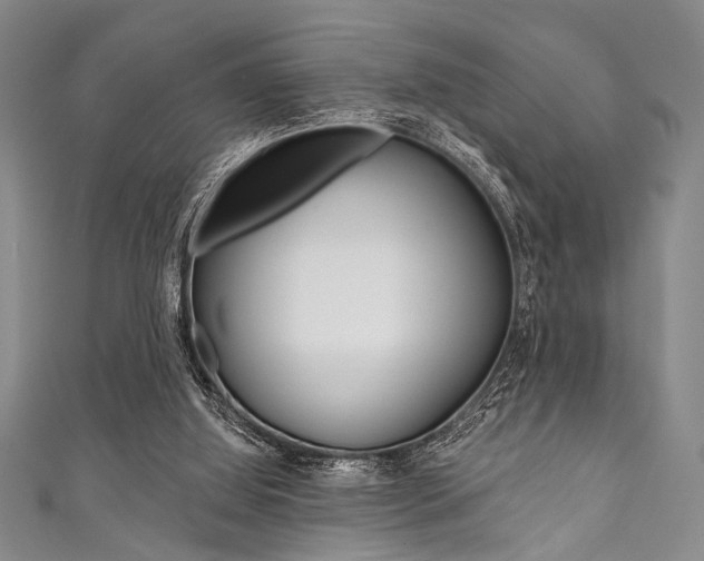 X0000111830060200907231031