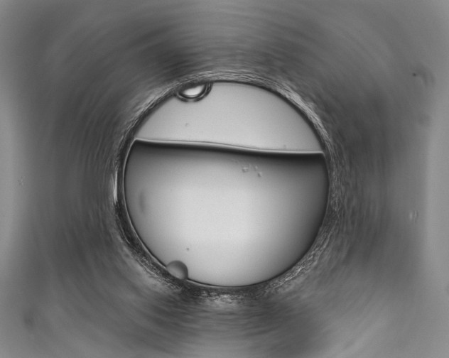 X0000111830062200907231031