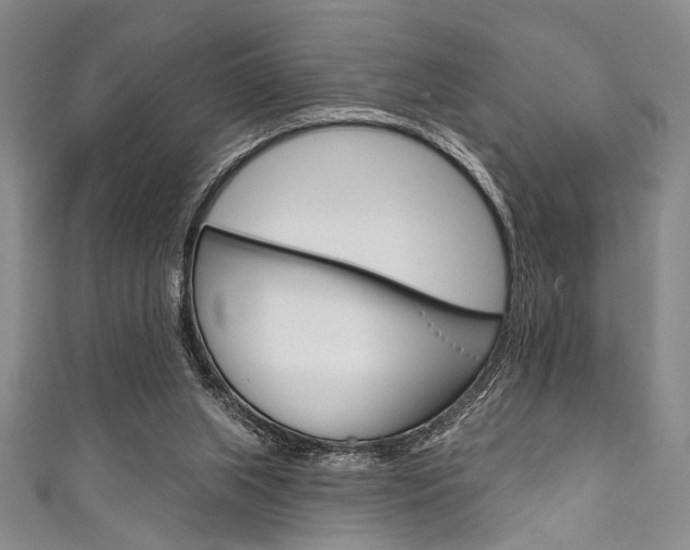 X0000111830063200907231031