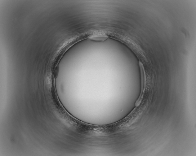 X0000111830064200907231031