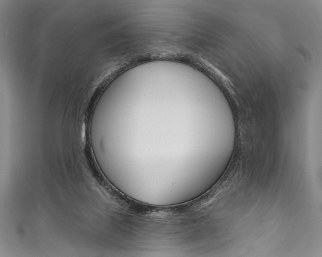 X0000111830067200907231031