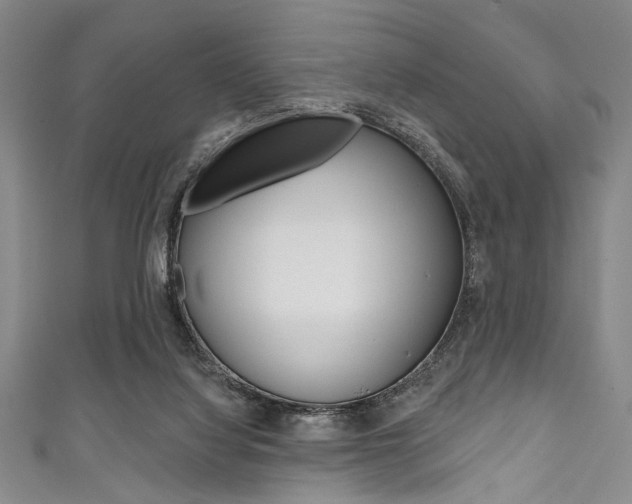 X0000111830068200907231031