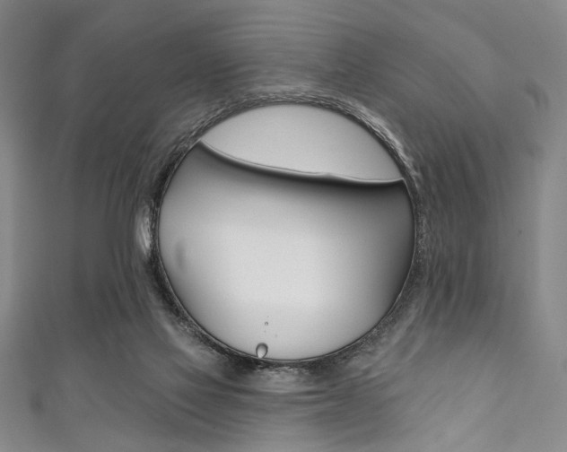 X0000111830069200907231031