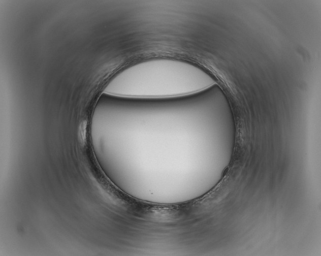 X0000111830070200907231031