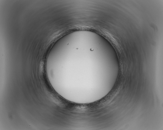 X0000111830071200907231031
