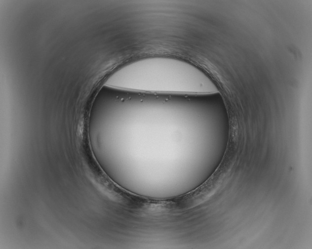 X0000111830072200907231031