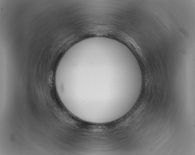 X0000111830073200907231031