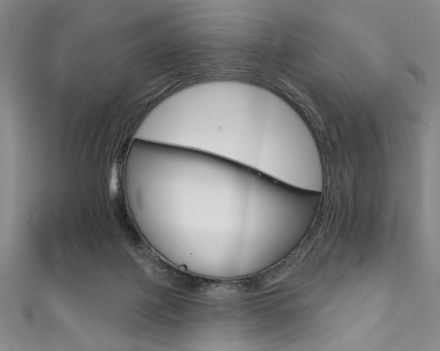 X0000111830075200907231031