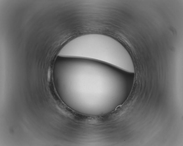 X0000111830076200907231031