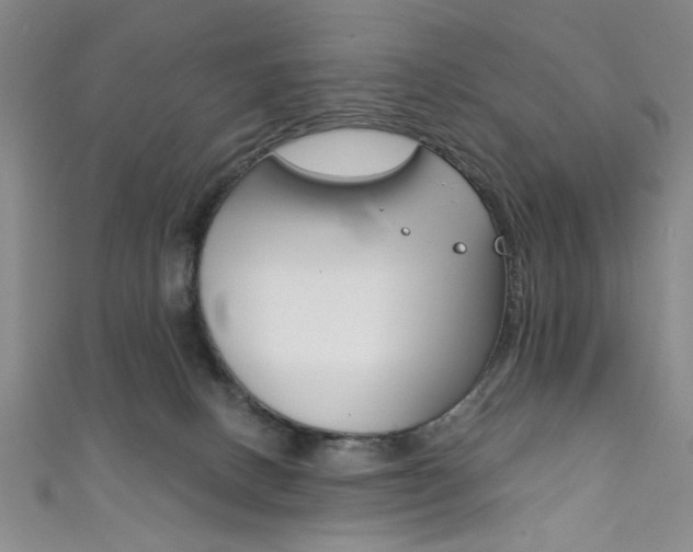 X0000111830082200907231031