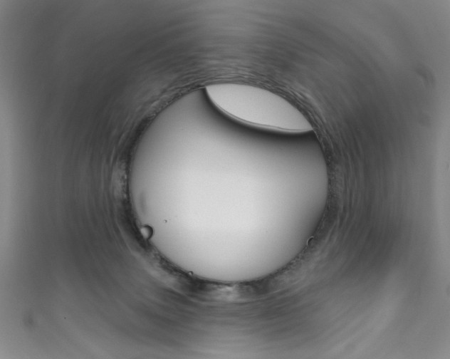 X0000111830083200907231031