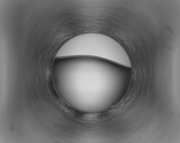 X0000111830084200907231031