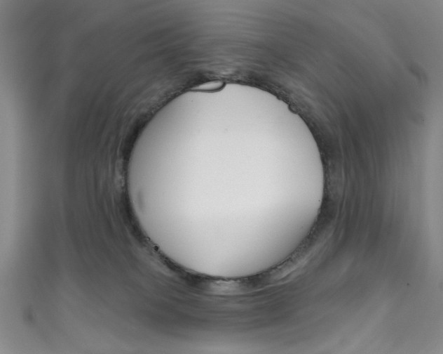 X0000111830085200907231031