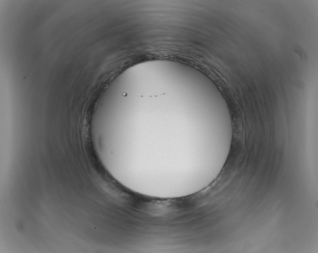 X0000111830086200907231031