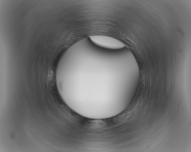 X0000111830087200907231031