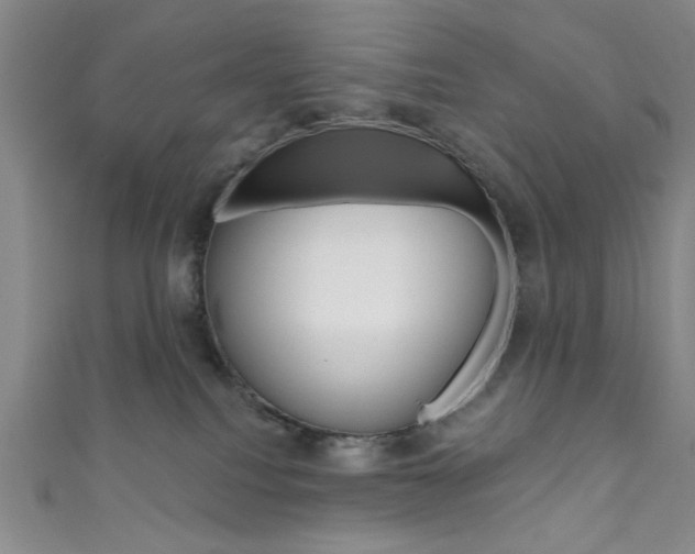 X0000111830088200907231031