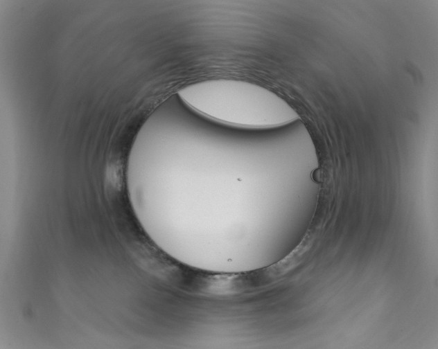 X0000111830090200907231031
