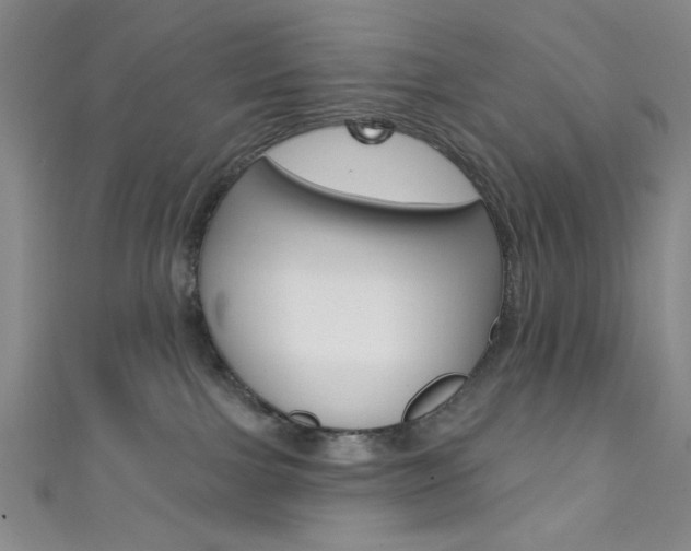 X0000111830091200907231031