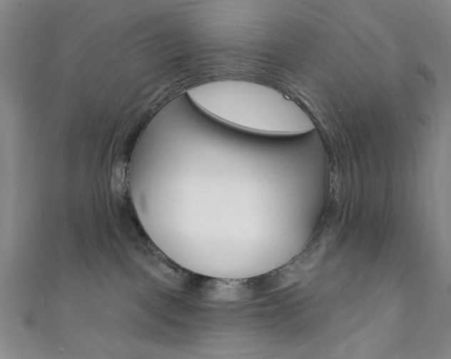 X0000111830093200907231031