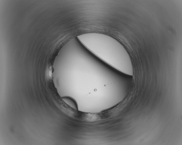 X0000111830095200907231031